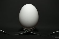 Day37-9.jpg