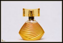 Day37Perfume.jpg