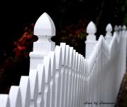 Railing 2 LOL.jpg