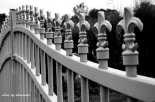 Railing 4 LOL.jpg