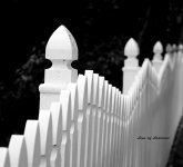 Railing 2 B&W LOL.jpg