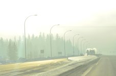 NIK_2937.jpg