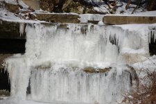 DSC_7392.jpg