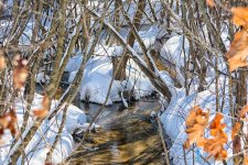 DSC_7325-Edit.jpg