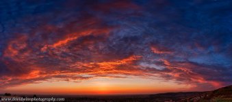 _DW14376_HDR-panVShrpDis-2.jpg