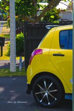 Yellow Suzuki LOL.jpg