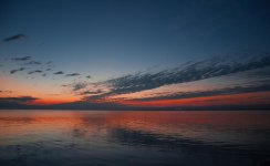 Day38-1.jpg