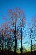 _DSC0417 - Version 2.jpg