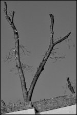 DSC_0100.jpg