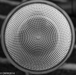 Flood Light 2.jpg