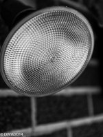 Flood Light.jpg