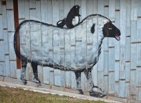 sheep-1.jpg