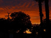 Sunset2.jpg