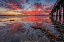_DW10486_HDR-VShrp.jpg