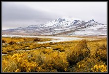 Day39Landscape.jpg