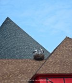 storkroof-1.jpg