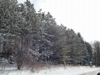 DSCN1181.jpg