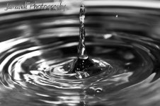 drip web.jpg