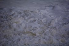 DSC_4011.jpg
