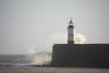 DSC_4134.jpg