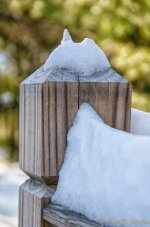 DSC_9540-Edit.jpg