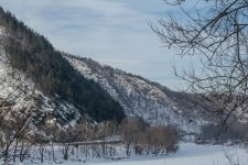 DSC_1051.jpg