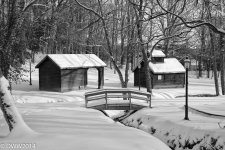 Wintery Park B&W.jpg