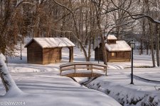Wintery Park.jpg