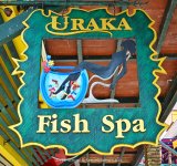 fishspa-1.jpg
