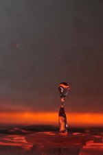 _DSC2554.jpg