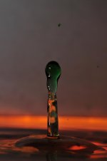 _DSC2559.jpg