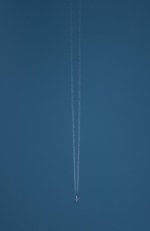 Nikonites-40-2.jpg