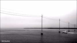_DSC8370bw.jpg