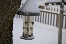 DSC_1995.jpg