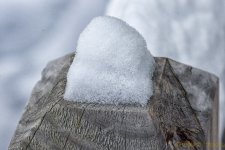 DSC_7331-Edit.jpg