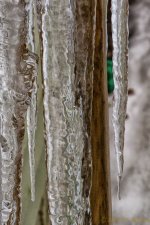 DSC_7332-Edit.jpg
