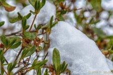 DSC_7334-Edit.jpg