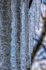 DSC_7338-Edit.jpg