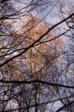 DSC_2310.jpg