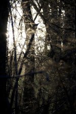 DSC_2280.jpg