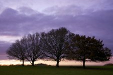 DSC_1687.jpg