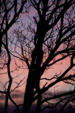 DSC_1663.jpg