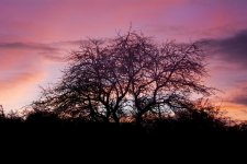 DSC_1659.jpg