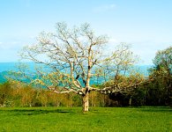 May 2010#2 009 - Version 2.jpg
