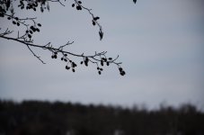 picture41a.jpg