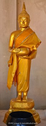 seven-days-buddha-image-5.jpg