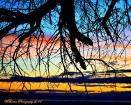 Colorful Sunset.jpg