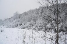 DSCF3346.jpg