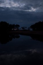 Nikonites-41-1.jpg