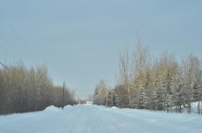 NIK_3359.jpg